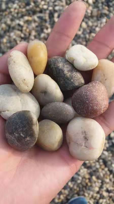 鹅卵石价格
