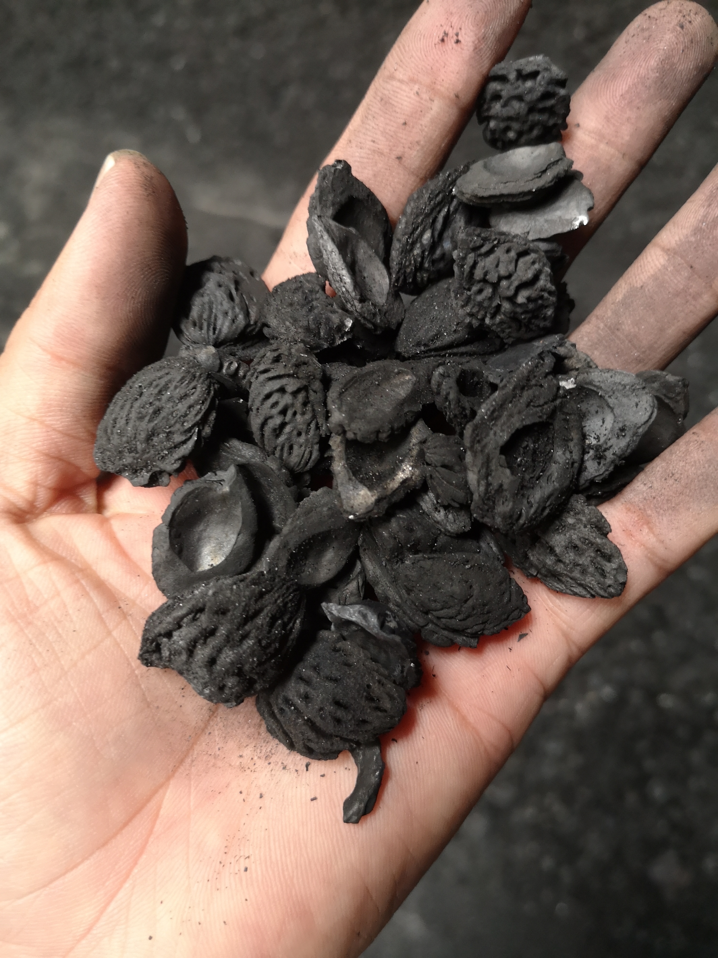 果壳活性炭价格
